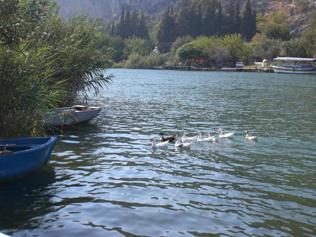 Hotel Rose Pension Dalyan Exteriér fotografie